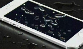 手机进水放大米里多久（手机掉水里大米埋多久）