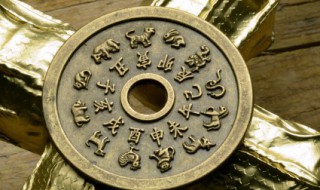 几日生的鸡比较旺父母（几日出生的鸡命最好）