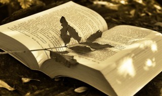 属木的字大全（属木的字大全 女孩名字）