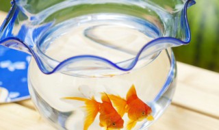 鱼缸潜水泵使用方法 鱼缸潜水泵正确使用方法图解