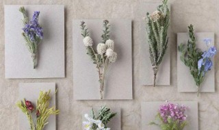 家里放干花影响风水吗(家里放干花影响风水吗?)