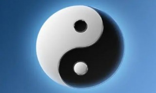 办公室鱼缸风水(办公室装修效果图)