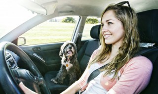 汽车定速巡航怎么使用方法（汽车定速巡航标志）