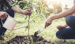 保护环境怎么做（环境保护的措施有哪些）