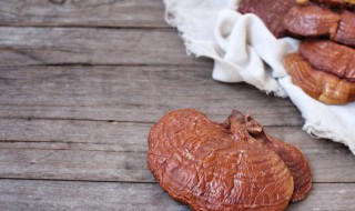 灵芝都怎么买怎么吃（灵芝是怎么吃的?）