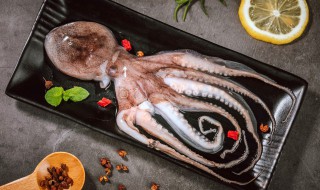 章鱼怎么繁殖 章鱼怎么繁殖后代