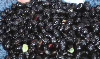 黑豆面怎么吃法 黑豆面怎么吃最好吃