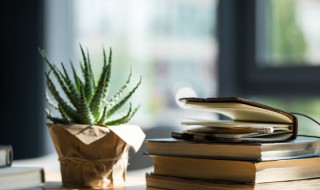 艻怎么读（苏洵怎么读）