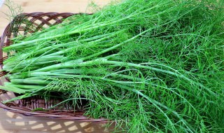 怎么炒茴香好吃（怎么炒茴香好吃窍门）