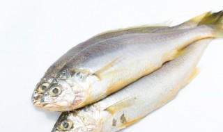 怎么晒酱鱼干 晒酱鱼干的做法