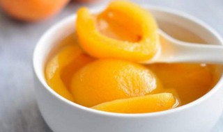 冰糖枇杷怎么吃(冰糖枇杷怎么吃最好)