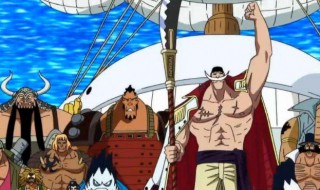 顶上之战是哪几集（顶上之战开打是多少集）