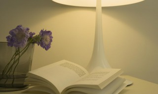 衙怎么读 衙怎么读音