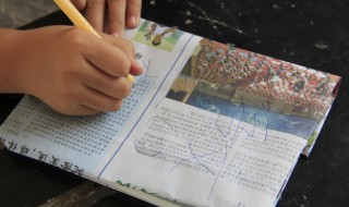 秩序怎么读 秩序怎么读拼音