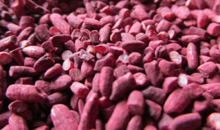 红曲米怎么吃（红曲米怎么吃最好）