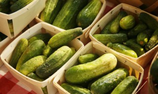 怎么清炒老黄瓜好吃 清炒老黄瓜的做法大全窍门