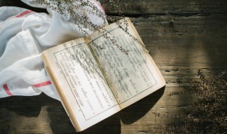 牛字组词（牛字组词造句）