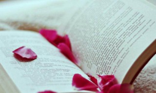 舟的组词 舟的组词和部首