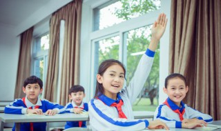 枝的组词 枝的组词组