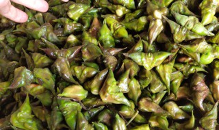 凌角怎么做好吃 菱角怎么做好吃