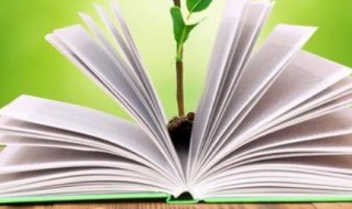 雅怎么组词（薄怎么组词）