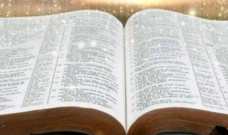 蜘蛛的蜘怎么组词（蜘蛛的蛛怎么组词）