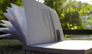 棉花的棉怎么组词 杉组词