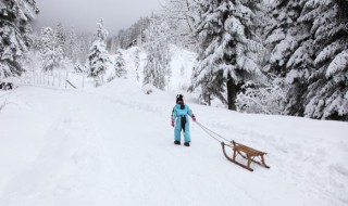 梦见下大雪什么征兆 梦见下大雪是什么征兆梦见下大雪是吉是凶