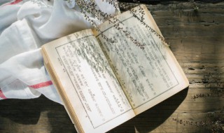 巳组词 巳怎么读