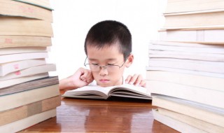 肚的多音字组词 肚的多音字组词和拼音