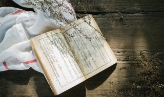 张耒怎么读 耒怎么读