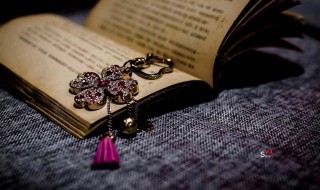 霪怎么读（鱻羴麤飝龘靐齾龗鱻爩）