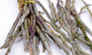 石斛种植方法用什么土 石斛种植教程