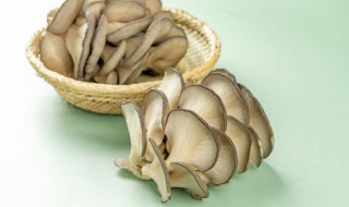 灰平菇的种植方法 灰平菇的种植方法视频