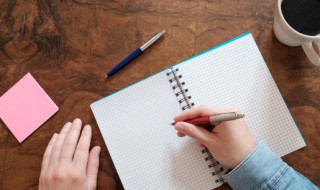 judy怎么读 aunt judy怎么读