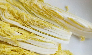 黄芽菜怎么做好吃（黄芽菜和大白菜的区别）