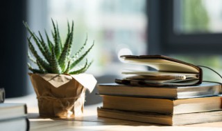 国破山河在下一句（黄沙百战穿金甲,不破楼兰终不还）