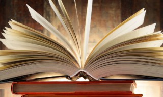 涯的组词 妇的组词