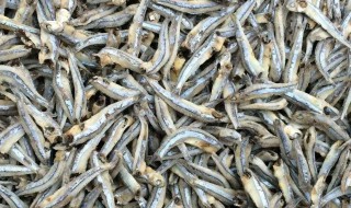 海蜒干怎么做好吃法（海蜓鱼干怎么吃）