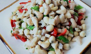 菱角肉怎么做好吃法（菱角肉怎么做好吃法窍门）