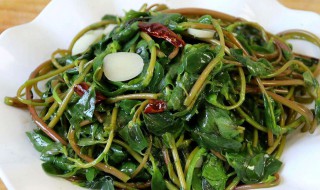 马茨菜怎么做好吃 马茨菜怎么做好吃法大全