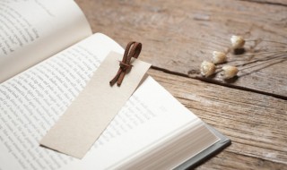 讽组词（询组词）