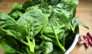 各种木耳菜的做法（各种木耳菜的做法大全视频）