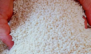 江米怎么吃（江米怎么吃有几种吃法）