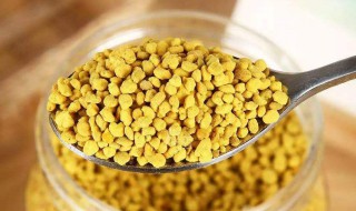 蜂花粉怎么吃能减肥 蜂花粉怎么吃减肥最快