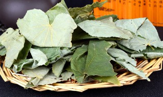 淫羊藿怎么吃（韭菜籽配什么壮阳最猛）