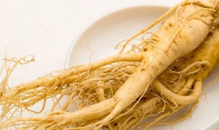 人参种植方法（人参的种植方法和条件）