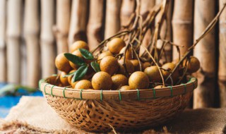 龙眼种植方法（龙眼种植方法视频）