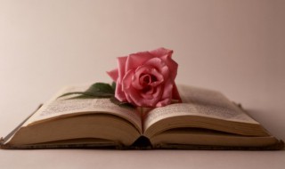 男人三十一枝花下一句(男人三十一枝花下一句成语)