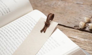 曲径通幽处的下一句（曲径通幽处下一句自创）